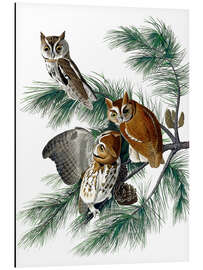 Magnettafel Drei Eulen