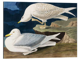 Magnettafel Zwei Vögel