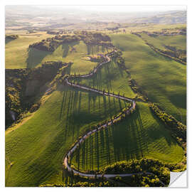 Adesivo murale Aerial view of winding road in Tuscany, Italy