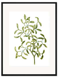 Gerahmter Kunstdruck Mistletoe