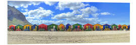 Foam board print Colorful beach houses in Muizenberg