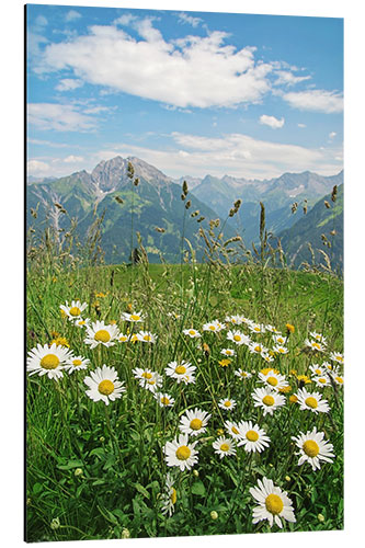 Alubild Gebirgslandschaft in Vorarlberg, Österreich