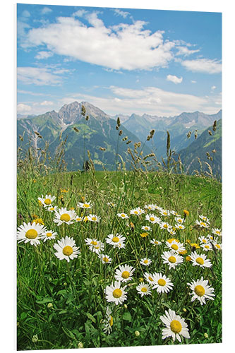 Obraz na PCV Mountains landscape in Vorarlberg, Austria