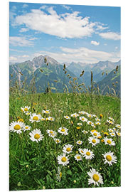 Foam board print Mountains landscape in Vorarlberg, Austria