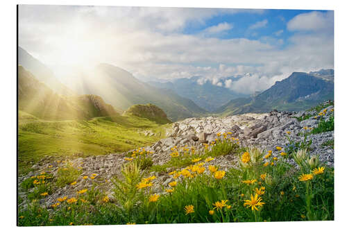 Aluminium print Vorarlberg