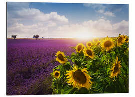 Magnettafel Lavendel und Sonnenblumenfelder, Provence
