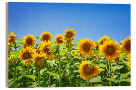 Wood print Sunflowers