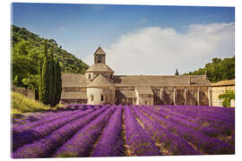 Akrylglastavla  Senanque Abbey with lavender fields - Elena Schweitzer