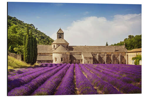 Stampa su alluminio Senanque Abbey with lavender fields