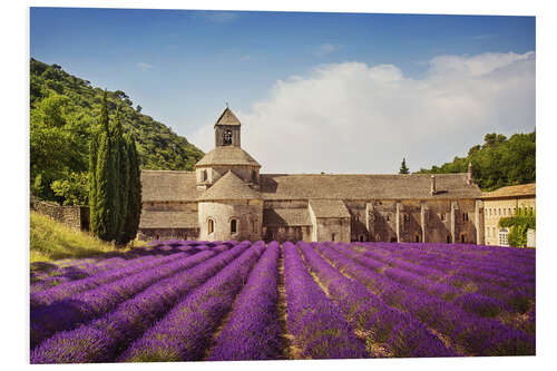 Foam board print Senanque Abbey with lavender fields