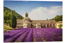 Gallery print Senanque Abbey with lavender fields