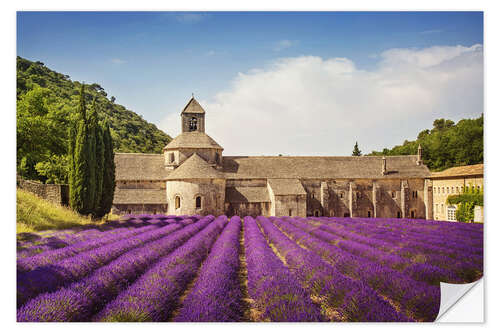 Muursticker Senanque Abbey with lavender fields