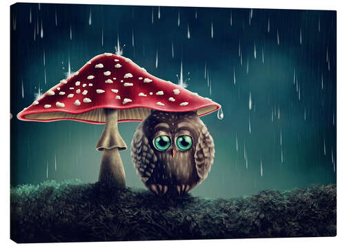 Lerretsbilde Owl in the rain