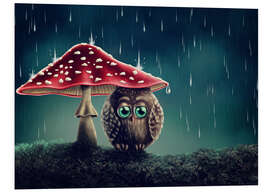 Foam board print Owl in the rain