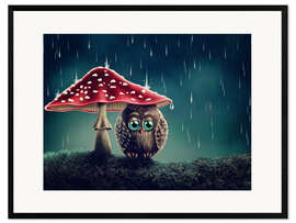 Impressão artística com moldura Owl in the rain