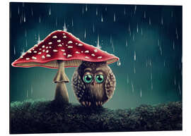 Magnettafel Eule im Regen