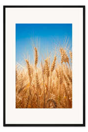 Gerahmter Kunstdruck Weizenfeld