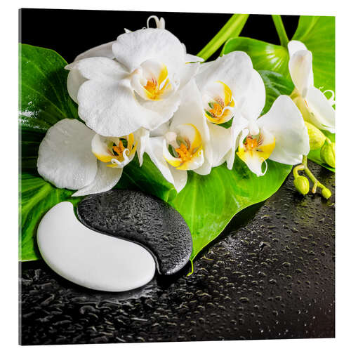 Acrylic print Spa Arrangement with White Orchid