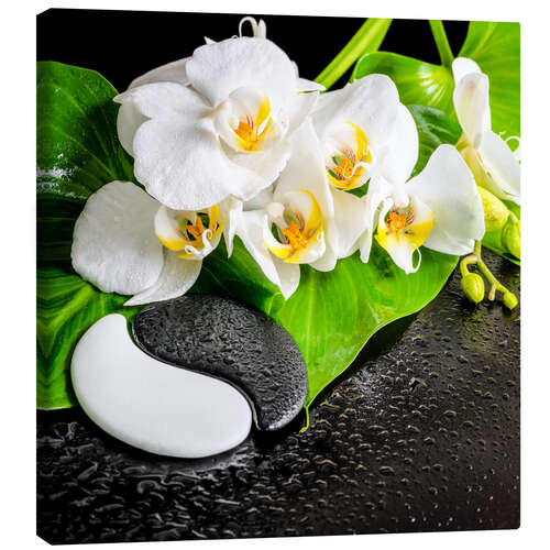 Canvas print Spa Arrangement with White Orchid