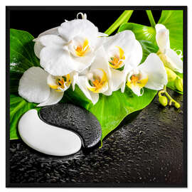 Gerahmter Kunstdruck Spa Arrangement mit weißer Orchidee