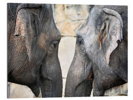 Gallery print Elephant love