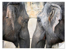 Selvklæbende plakat Elephant love