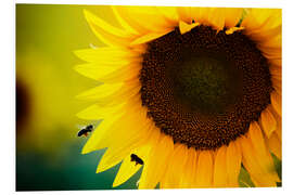 Hartschaumbild zwei Bienen an Sonnenblume