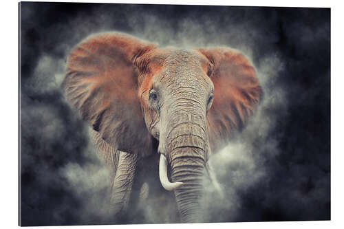 Galleritryck Elephants in the national park of Kenya