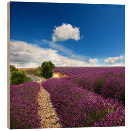 Wood print  Beautiful lavender field