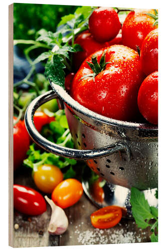 Quadro de madeira Tomatoes in the sieve