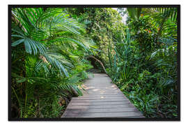 Gerahmter Kunstdruck Dschungelpfad