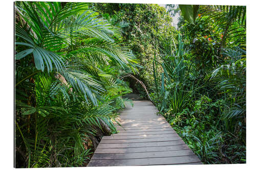 Gallery print jungle trail