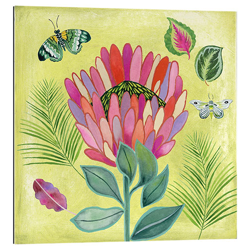 Gallery print protea