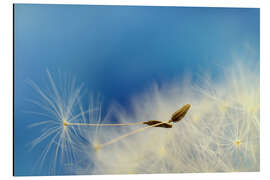 Magnettafel Pusteblumenschirmchen - Ludger Föster