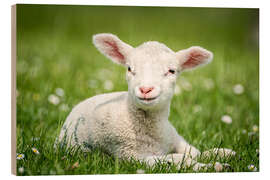 Hout print Happy lamb