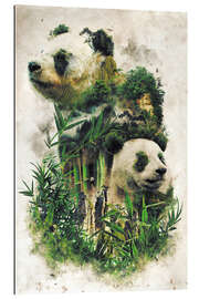 Cuadro de plexi-alu The Giant Panda