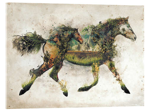 Akrylbilde Surreal Horse Landscape