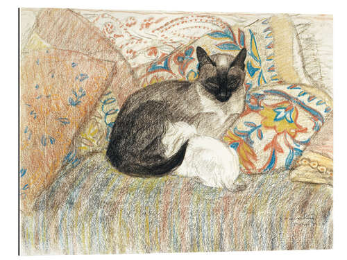 Quadro em plexi-alumínio Siamese Cat and her kitten