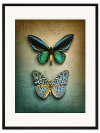 Gerahmter Kunstdruck Schmetterlinge
