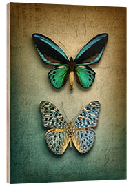 Quadro de madeira Butterflies