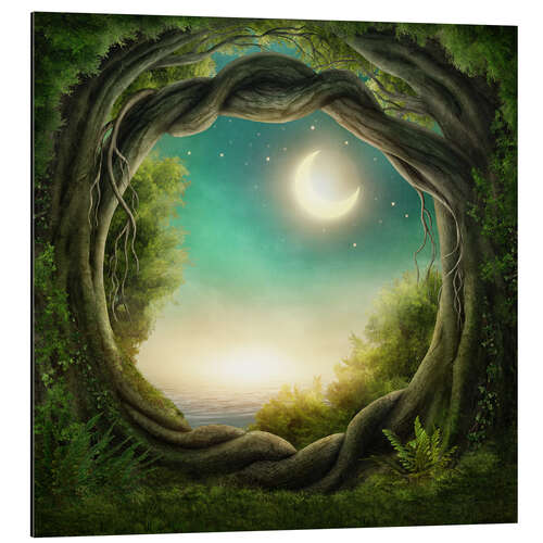 Aluminium print Illustration of a magic forest