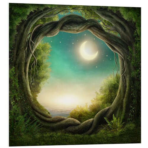 Foam board print Illustration of a magic forest