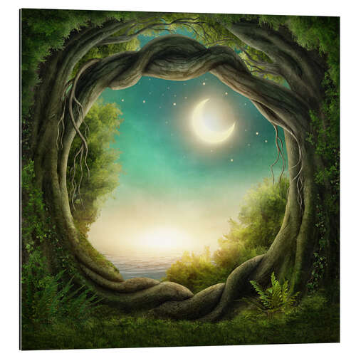 Quadro em plexi-alumínio Illustration of a magic forest