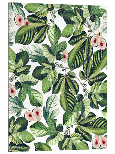 Gallery Print Fig Garden