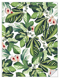 Wall sticker Fig Garden