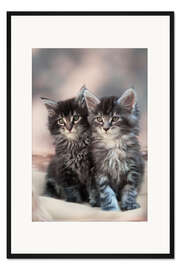 Gerahmter Kunstdruck Maine Coon Kittens 3