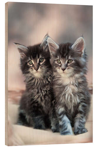 Wood print Maine Coon Kittens 3