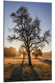 Aluminium print Autumn magic