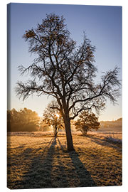 Tableau sur toile Autumn magic