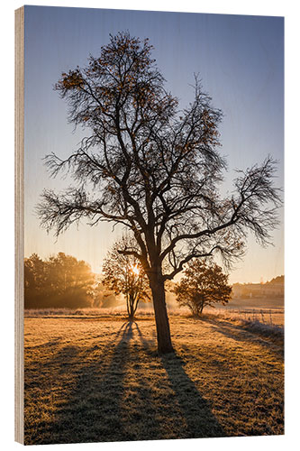 Holzbild Herbstzauber im Taunus